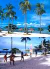 Dos Palmas Arreceffi Island Resort 